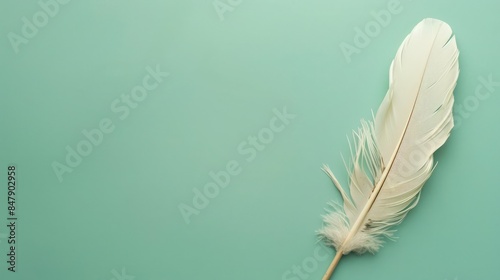 Mint green background featuring a feather quill pen, perfect for copyspace