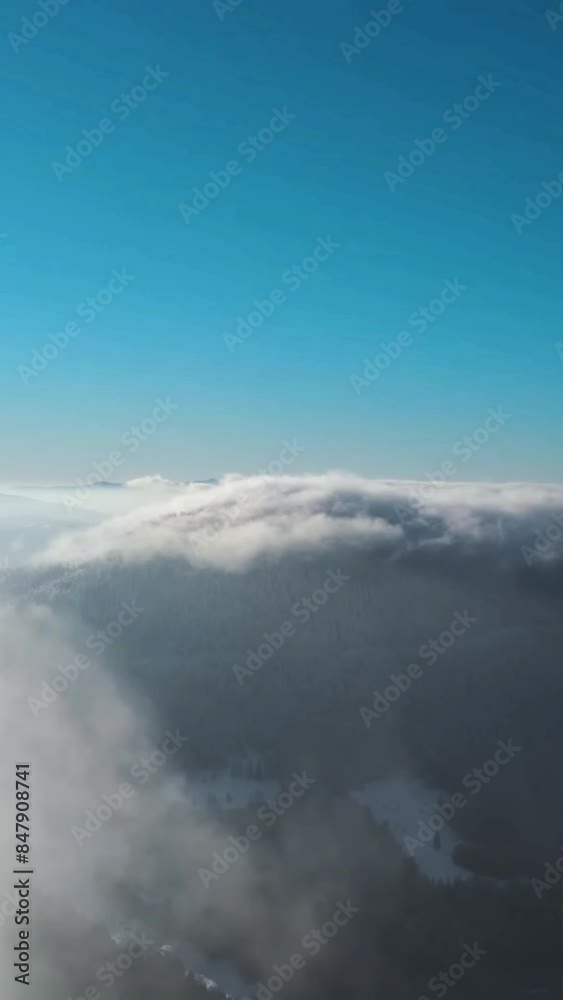 Aerial view of beautiful snow forrest during winter Aerial view of beautiful snow forrest during winter