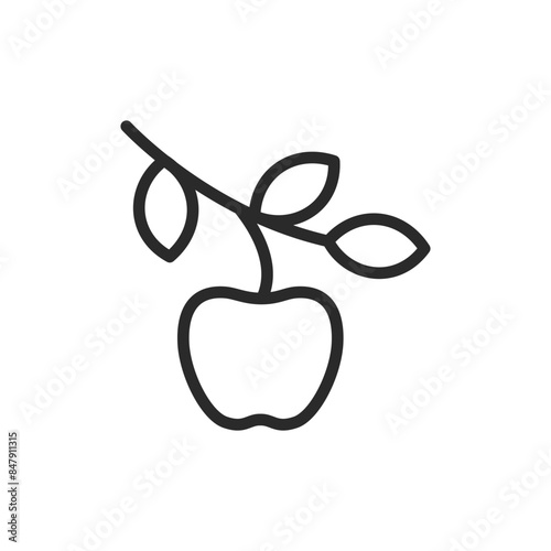 Apple on branch, linear style icon. Harvest, tree fruit. Editable stroke width