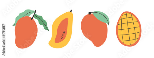 Set of abstract vector mango. Simple mango. Tropical fruit collection design for interior, poster, banner. 