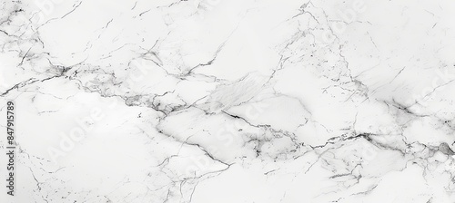 Soft White Marble with Delicate Veins