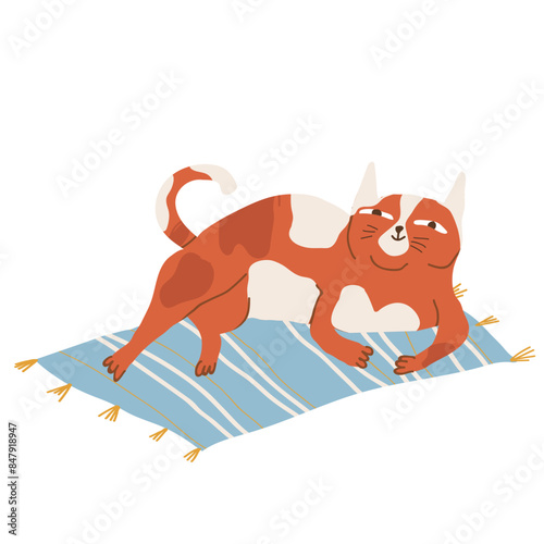 Red funny cat in white spot, hand drawn vector illustration isolated on white background.