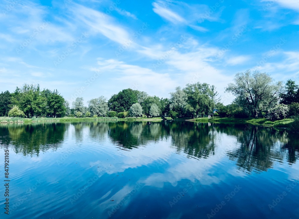 Fototapeta premium Beautiful tender blue sky reflection on the lake surface, trees silhouettes reflection on the lake surface, summer lake in the park