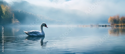 A goose walking in front of the lake. Creative banner. Copyspace image