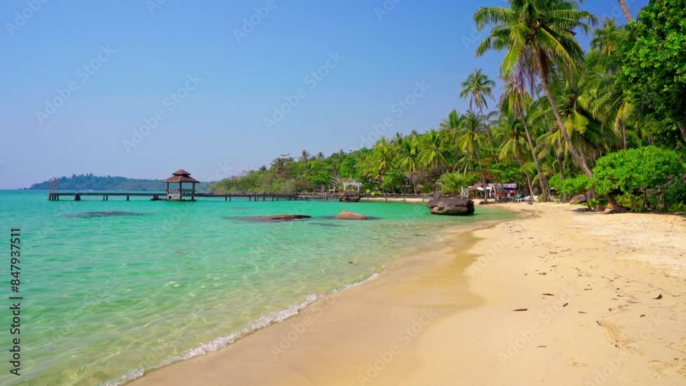 Beautiful coastline tropical beach with crystal clear ocean and palm tree on nature background 4K Beautiful coastline tropical beach with crystal clear ocean and palm tree on nature background 4K