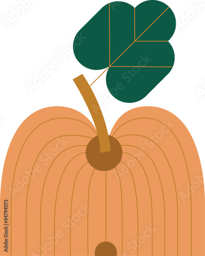 Vector pumpkin with leaf illustration