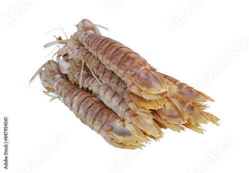 Raw mantis shrimps isolated on white