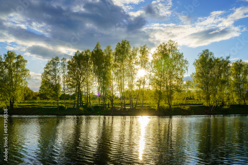 Sunrise or sunset on a pond with birch trees growing along the banks and the sky reflected in the water in summer.