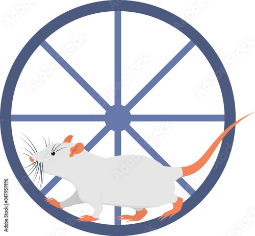 Hamster runs in a wheel. Pet animal, vector illustration