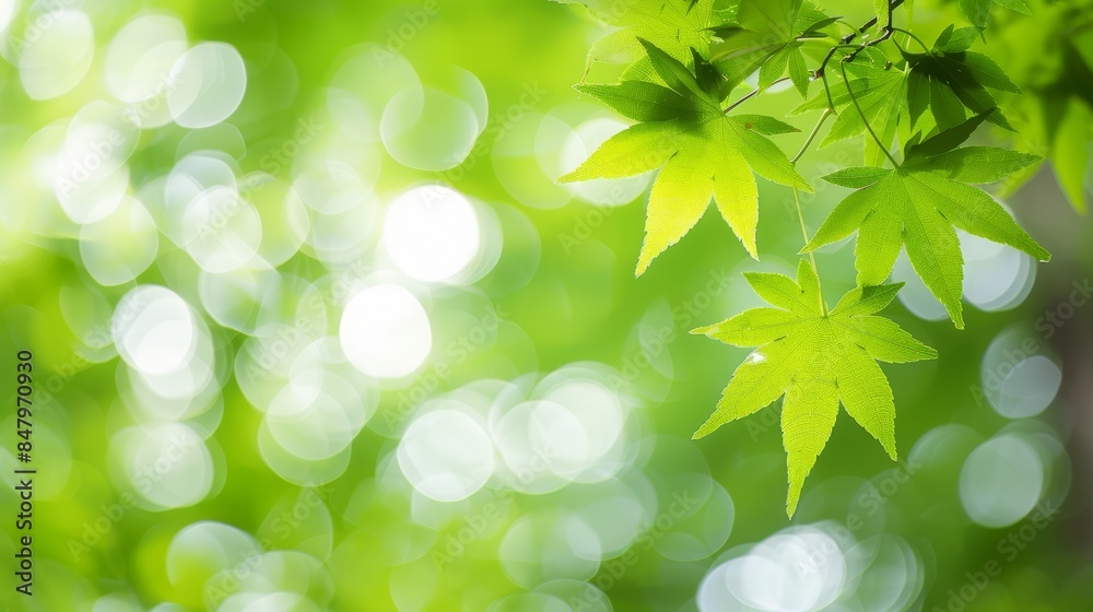 Sunlit green leaves hanging from branches with a bright, bokeh background, creating a fresh and tranquil nature scene. Concept of renewal and serenity. Sunlit green leaves hanging from branches with a bright, bokeh background, creating a fresh and tranquil nature scene. Concept of renewal and serenity.