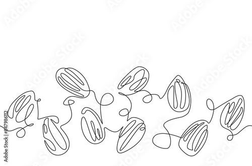 Hand drawn almonds. Seamless horizontal pattern isolated on white background. Continuous line drawing style. Vector illustration.