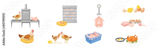 Chicken Meat Produce with Poultry Farm Food Vector Set