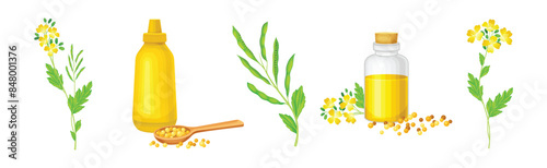 Mustard Plant with Seeds and Yellow Flower Vector Set