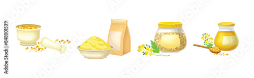 Mustard Plant with Seeds and Yellow Flower Vector Set