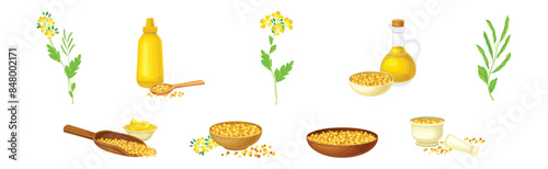 Mustard Plant with Seeds and Yellow Flower Vector Set