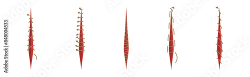 Baseball Stitches and Red Lace with Loop of Thread Isolated on White Background Vector Set