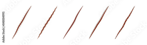 Baseball Stitches and Red Lace with Loop of Thread Isolated on White Background Vector Set