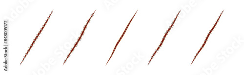 Baseball Stitches and Red Lace with Loop of Thread Isolated on White Background Vector Set