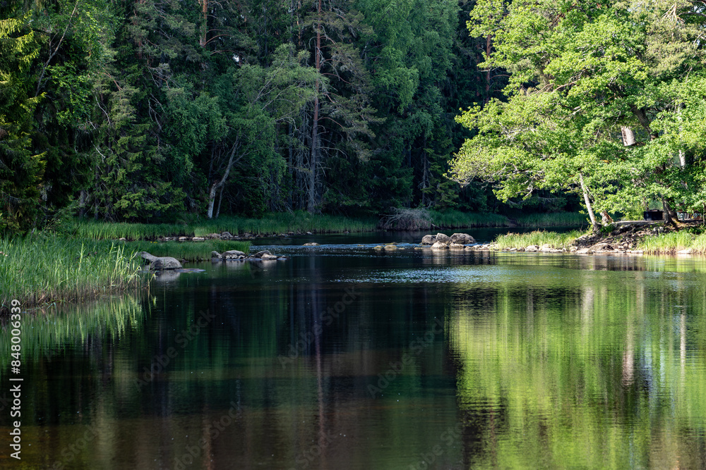 Sunrise morning in a beautiful river area in Farnebofjarden national park in north of Sweden Sunrise morning in a beautiful river area in Farnebofjarden national park in north of Sweden