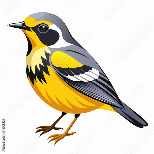 warbler vector illustration, white background