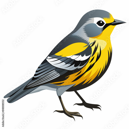 warbler vector illustration, white background