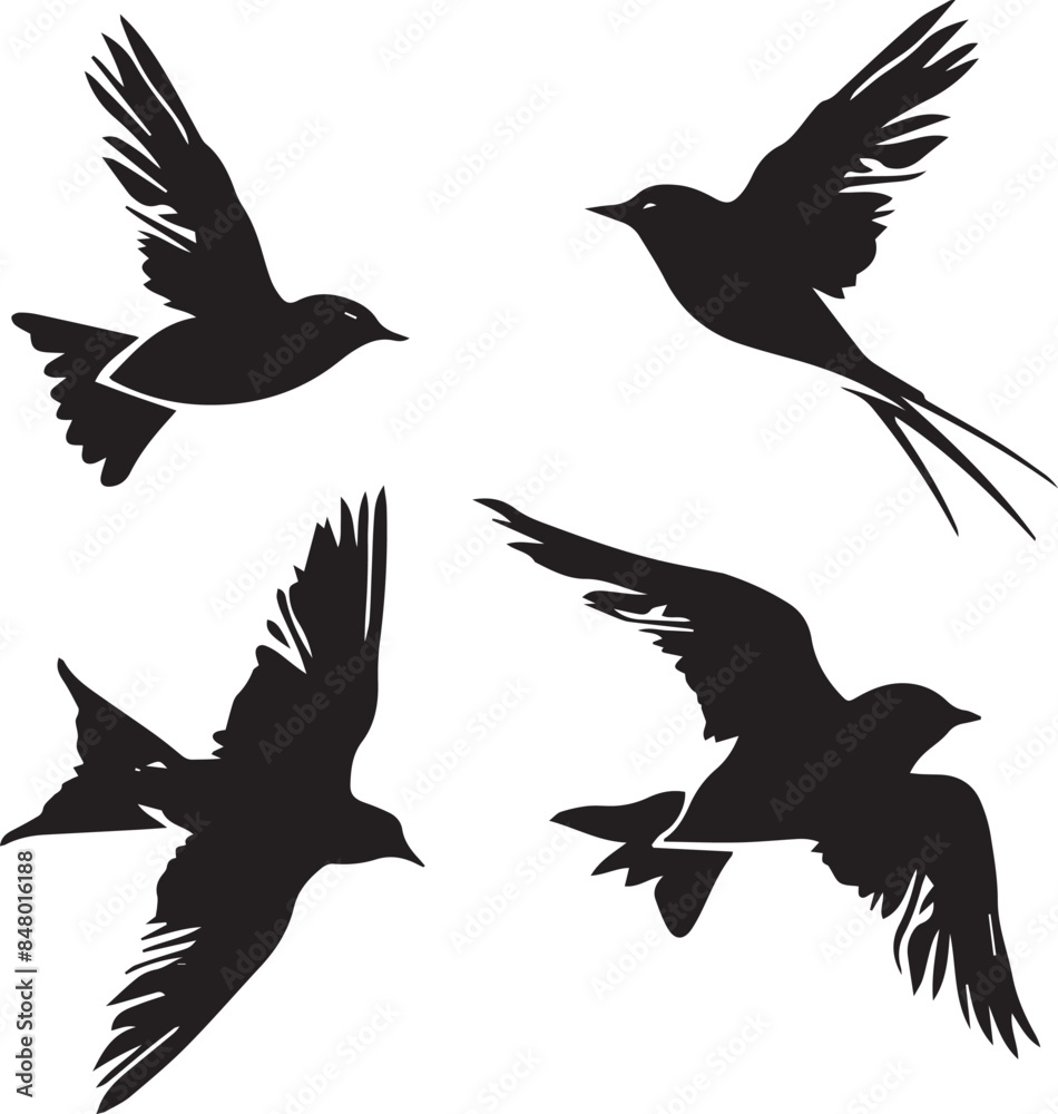 Obraz premium silhouettes of birds