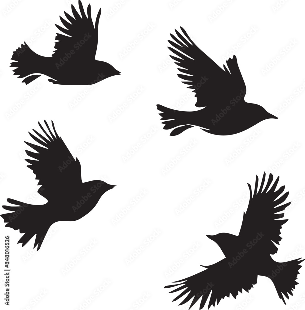 Obraz premium silhouettes of birds