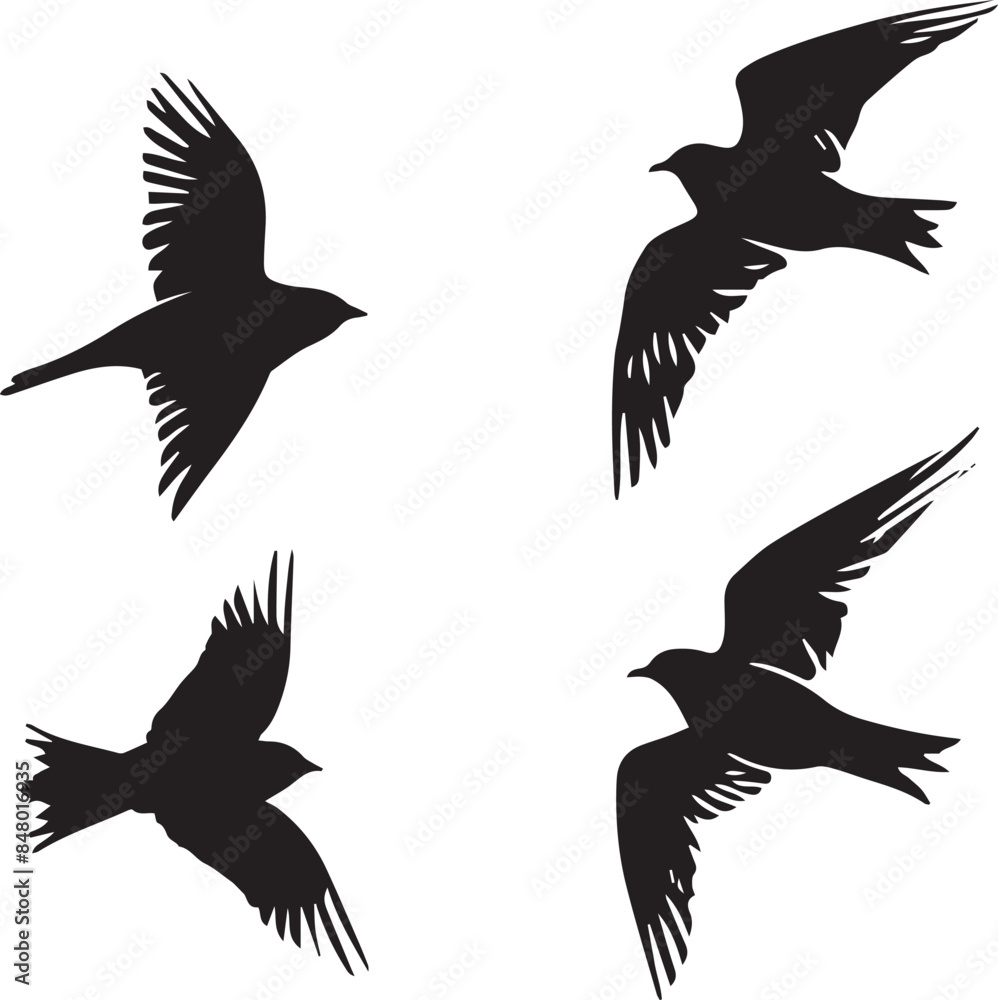 Fototapeta premium silhouettes of birds