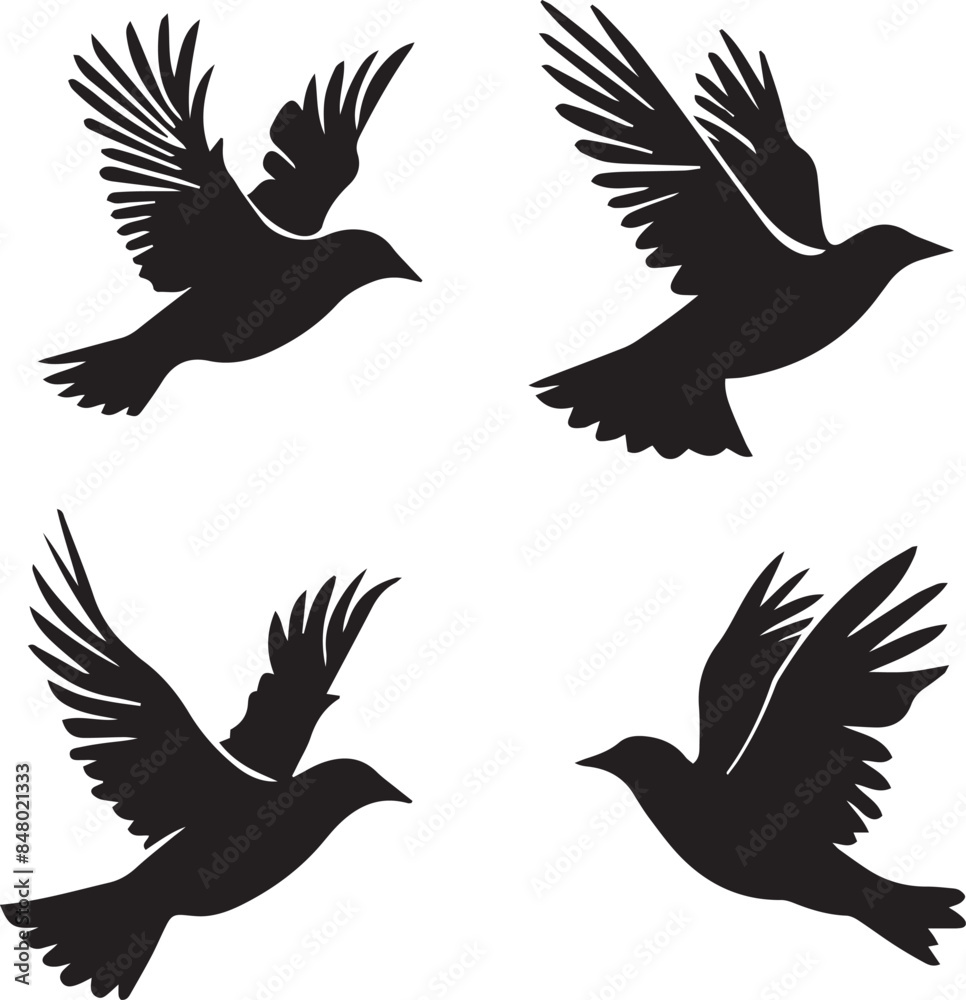 Fototapeta premium set of birds