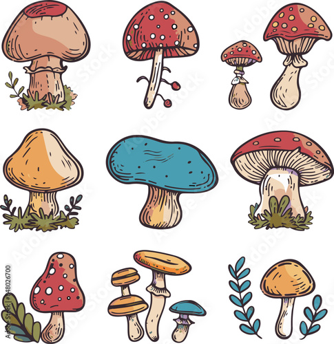 Colorful Mushroom Cluster