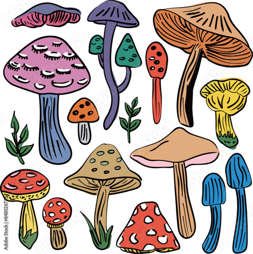 Colorful Mushroom Cluster