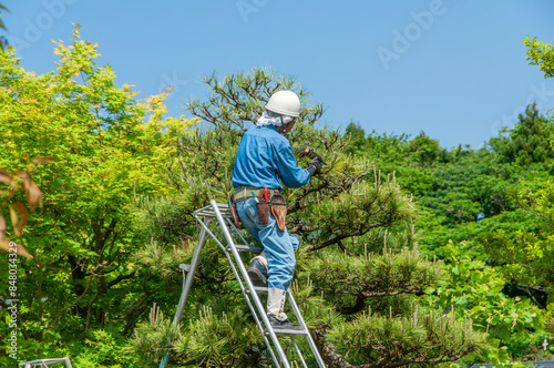 植木職人 photo
