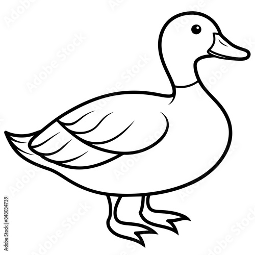 vector illustration of a duck