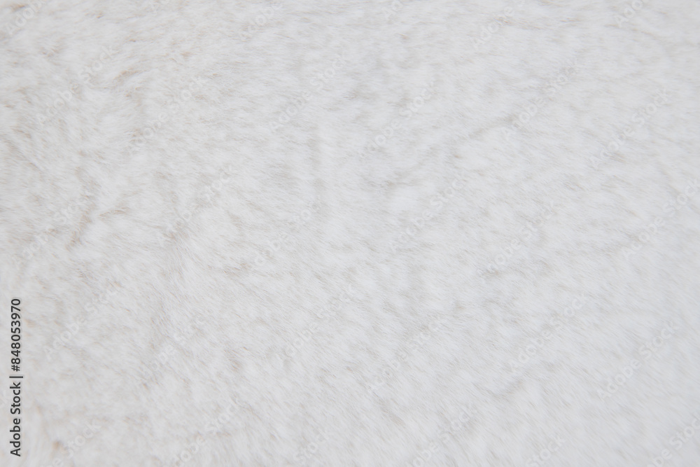 Fototapeta premium abstract minimalist interior living backgrounds