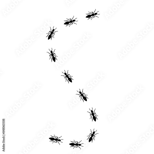 line of black ants hand drawn vector 