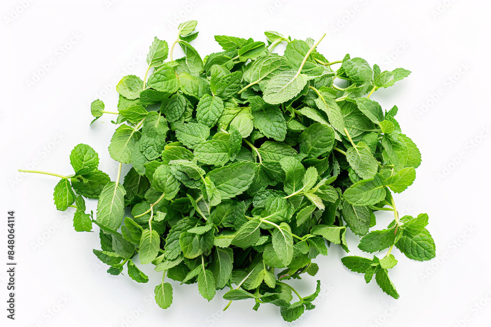 Fototapeta premium A bunch of fresh green mint leaves on a white background