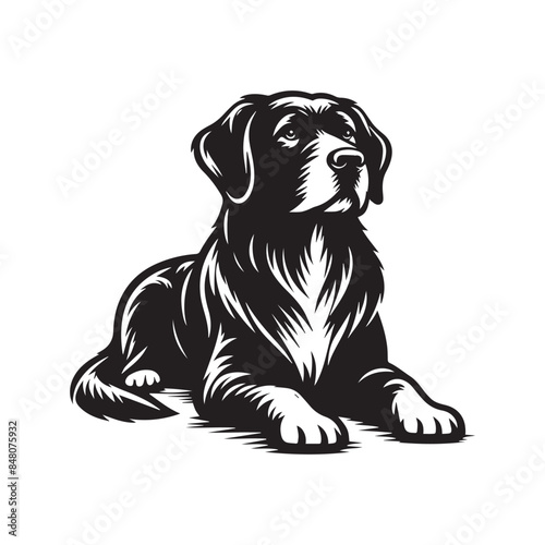 Dog Vector art