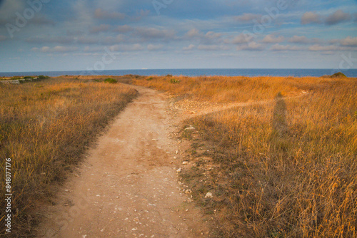 Pathway in Salento, Italy photo