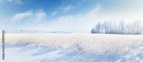 A Snow Covered Wheatfield in Winter. Creative banner. Copyspace image