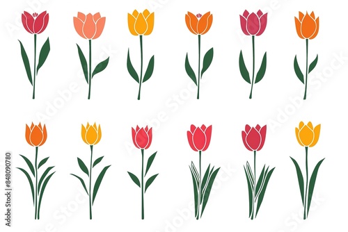 Wallpaper Mural Tulips icons or sign on white background. Spring Flowers symbol. Colorful design Torontodigital.ca