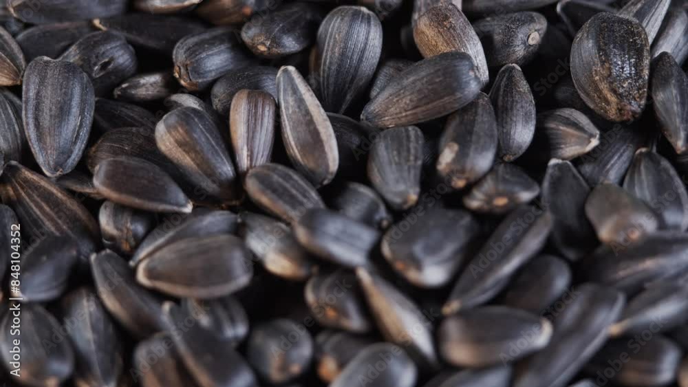 The sunflower seeds on a plate close-up. The sunflower seeds after harvest. Pile of Dried Sunflower Unpeeled Seeds, a Healthy Source of Vitamins in Vegan Food. The sunflower seeds on a plate close-up. The sunflower seeds after harvest. Pile of Dried Sunflower Unpeeled Seeds, a Healthy Source of Vitamins in Vegan Food.