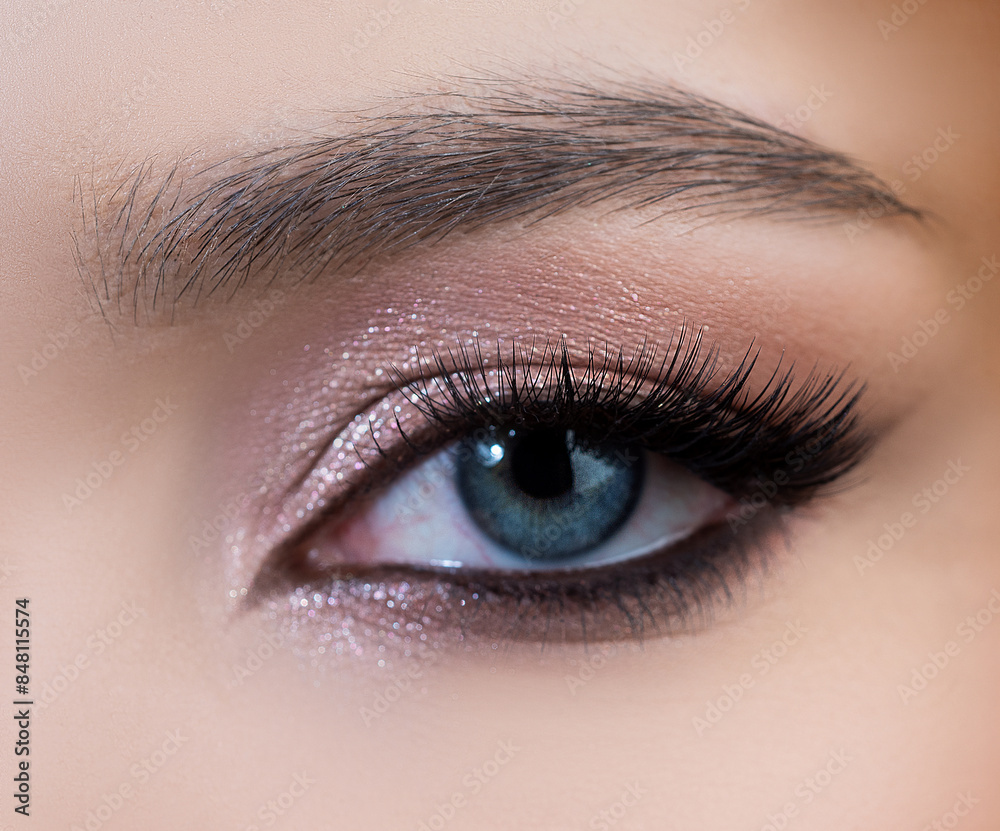 Obraz premium Closeup woman eye. Close up brows, eyebrows eye make up. Long eyelashes, eyebrows, macro eyes.