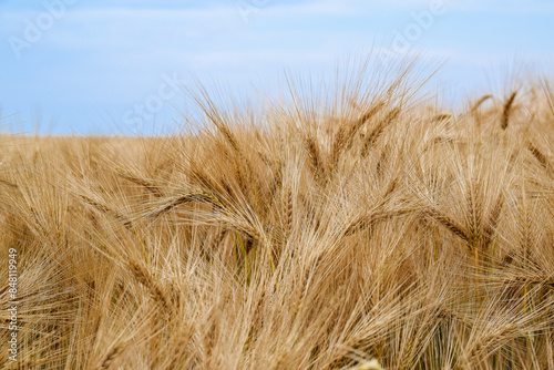 Feld120624a