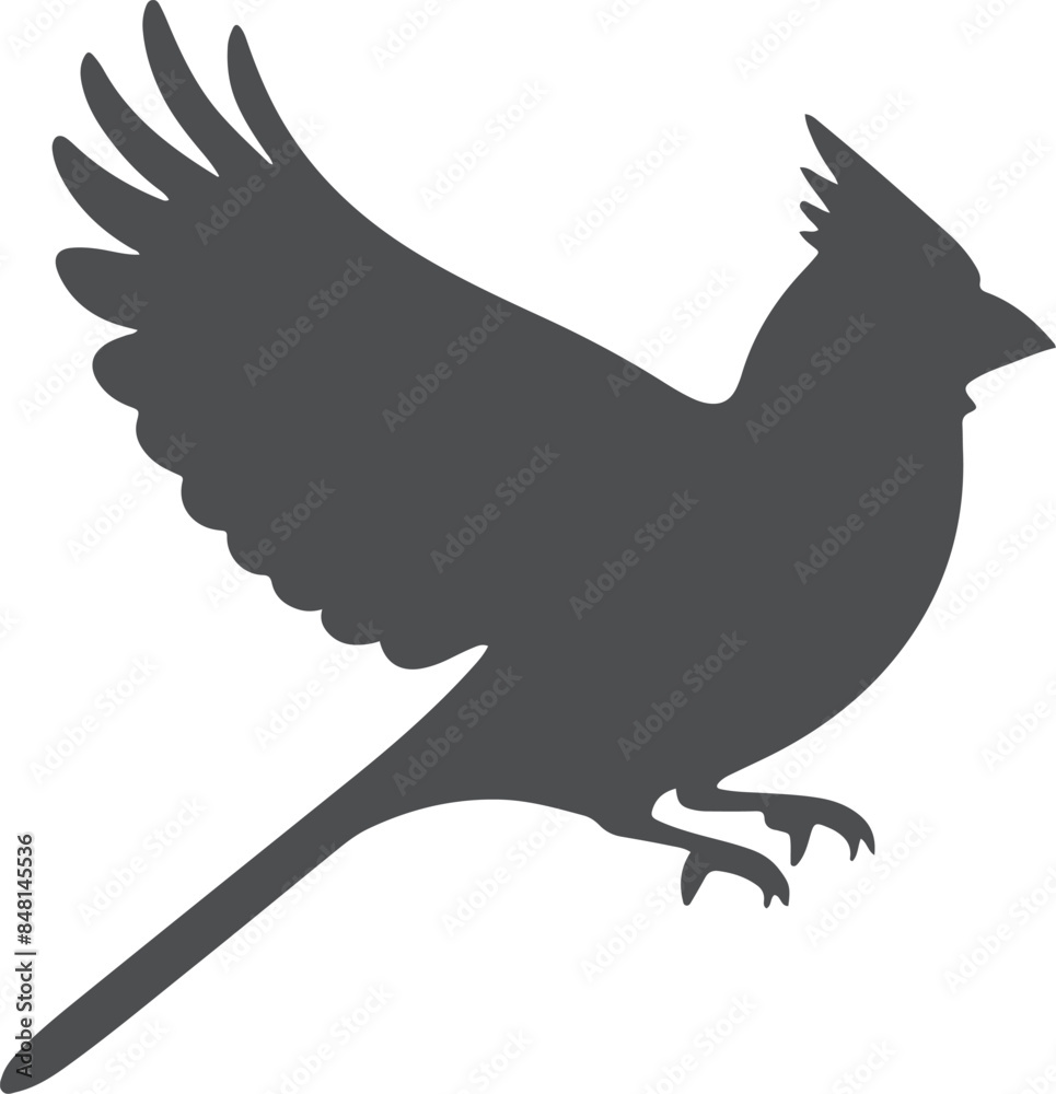 Fototapeta premium Web