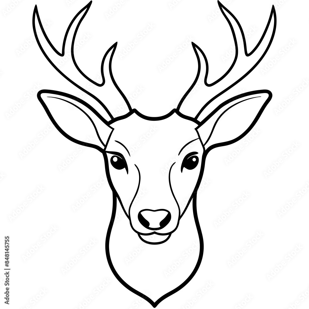 Deer Head Sketch Vector illustration Deer Head Sketch Vector illustration