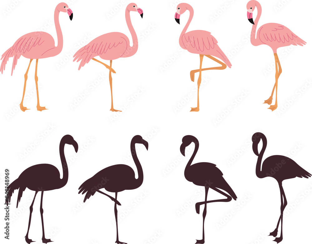 Obraz premium pink flamingos on white background vector