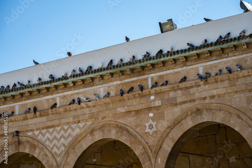 Zitouna Mosque, Located in the heart of Tunis' medina, this important mosque was founded in 734 and built on a site once occupied by a church. It was totally rebuilt in the 9th century and restored photo