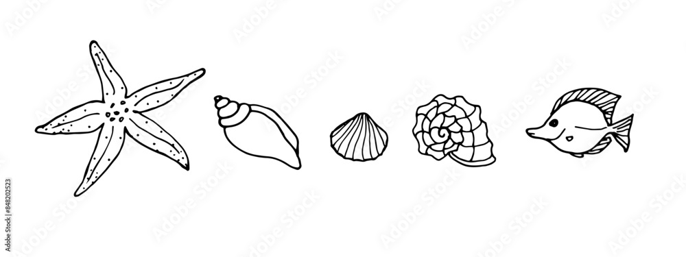 Set of sea doodle illustrations. Black and white vector drawing of shells, fish and starfish isolated on white background. Souvenirs from the trip. Set of sea doodle illustrations. Black and white vector drawing of shells, fish and starfish isolated on white background. Souvenirs from the trip.