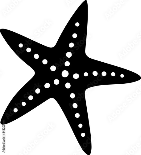 Starfish silhouette