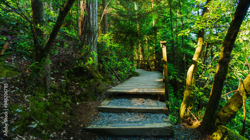 Stairs to boardwalk on Sasamat Loop forest trail in Belcarra Provincial Park, BC. photo